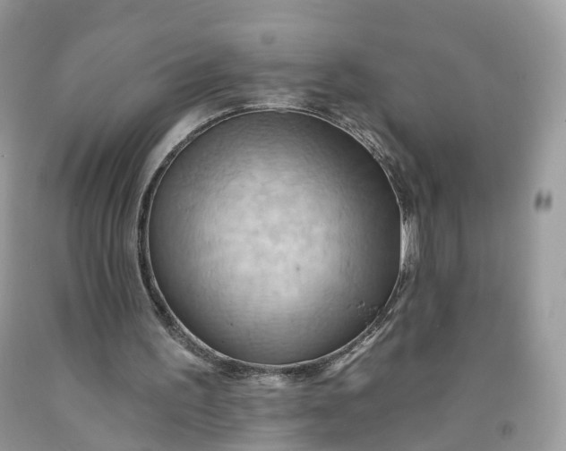 X0000091580195200709051107