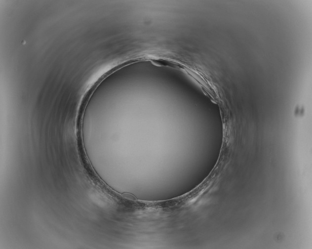 X0000091580196200709051107