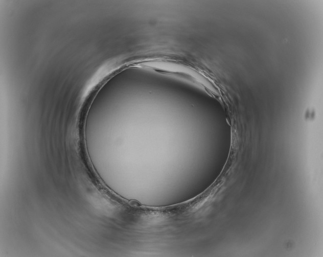 X0000091580198200709051107