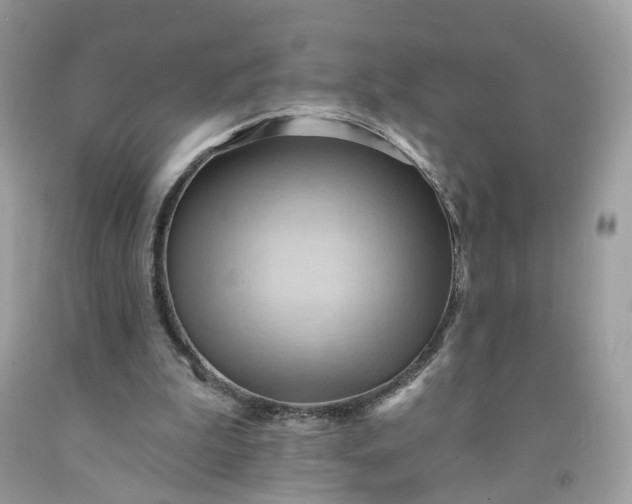 X0000091580199200709051107