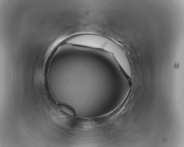 X0000091580200200709051107