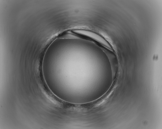 X0000091580201200709051107