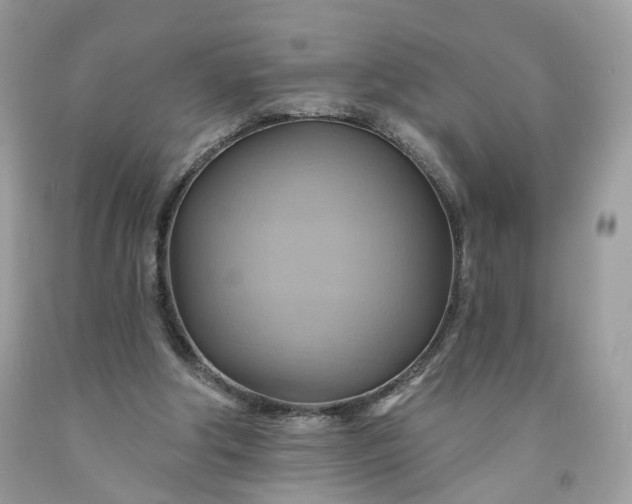 X0000091580202200709051107