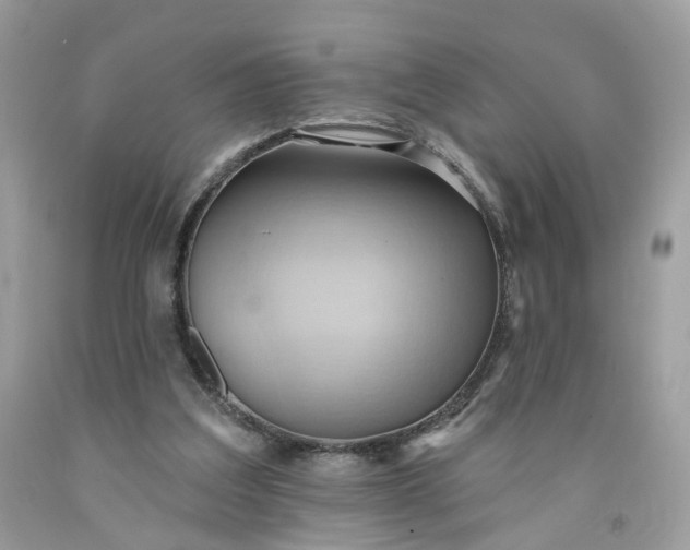 X0000091580203200709051107