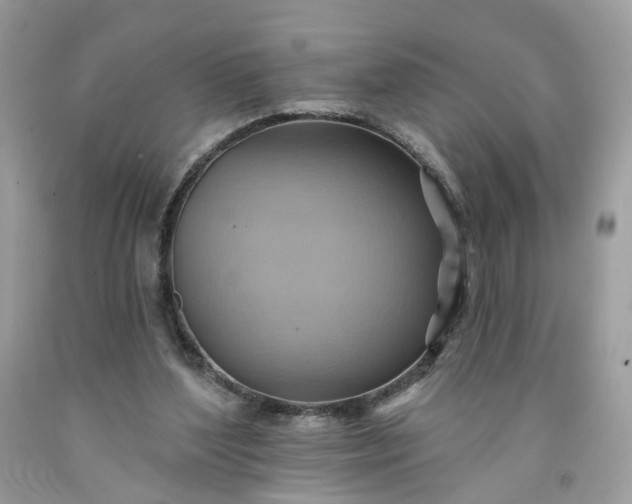 X0000091580204200709051107