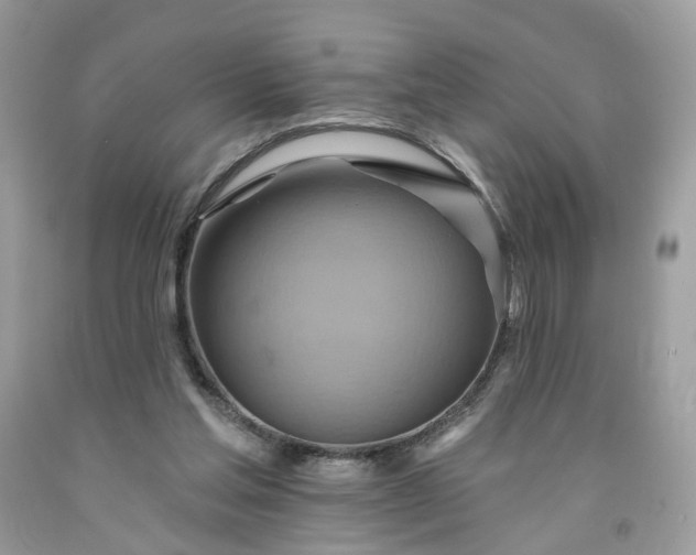 X0000091580205200709051107