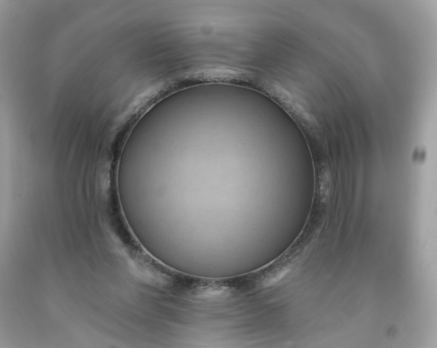 X0000091580206200709051107