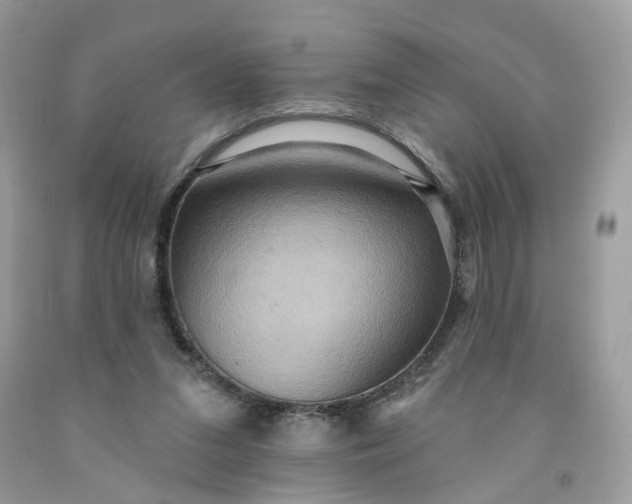 X0000091580207200709051107