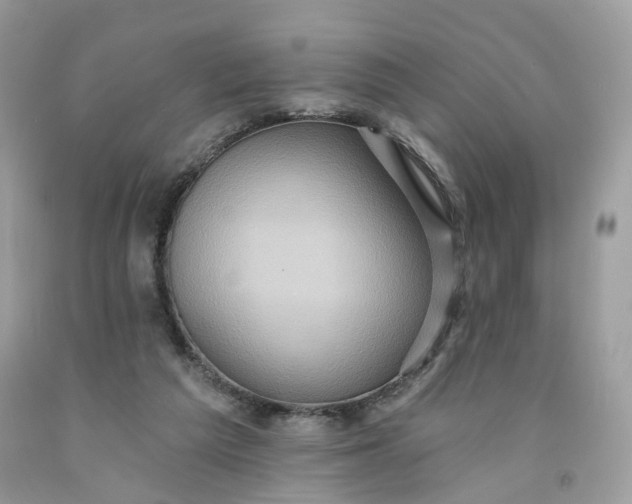 X0000091580209200709051107