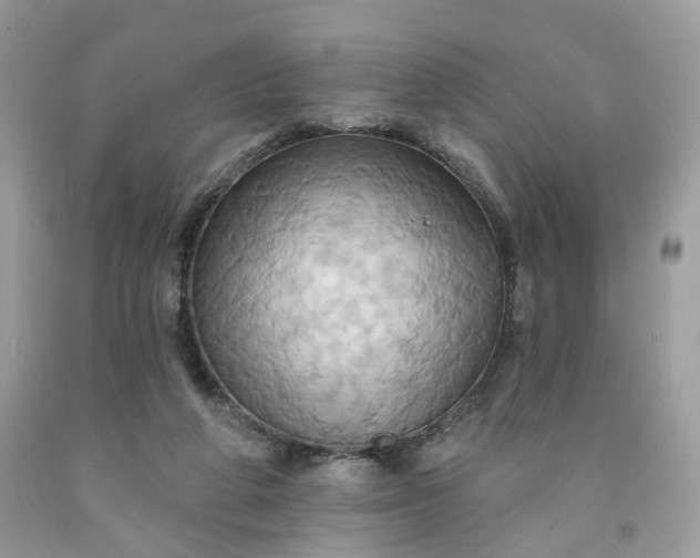 X0000091580210200709051107