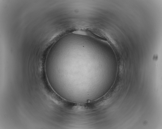 X0000091580211200709051107