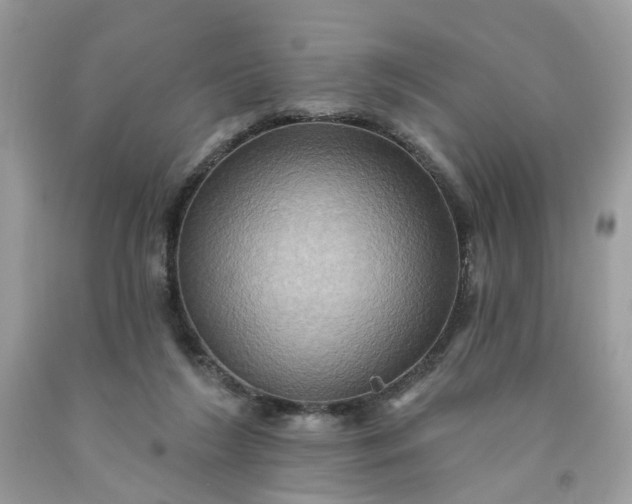 X0000091580212200709051107