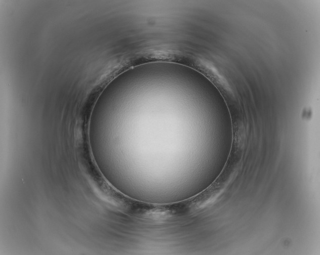 X0000091580213200709051107