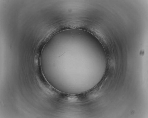 X0000091580214200709051107