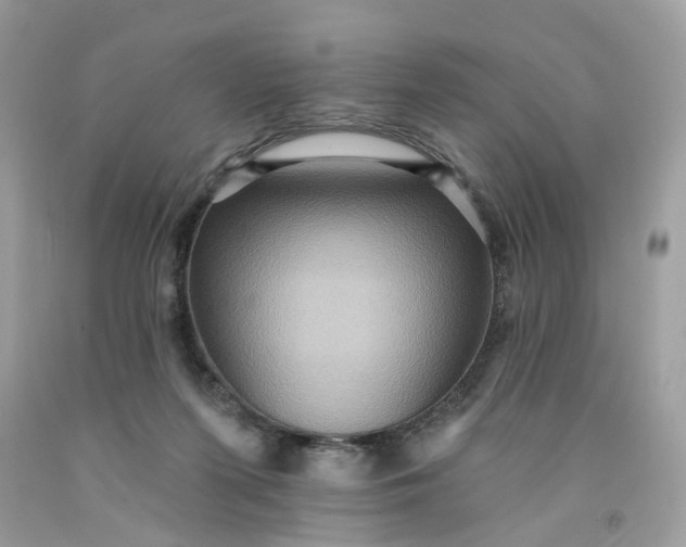 X0000091580215200709051107