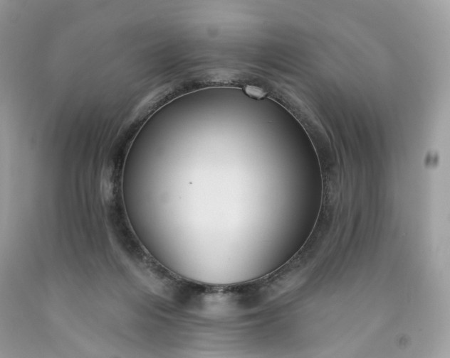 X0000091580216200709051107