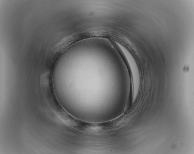 X0000091580217200709051107