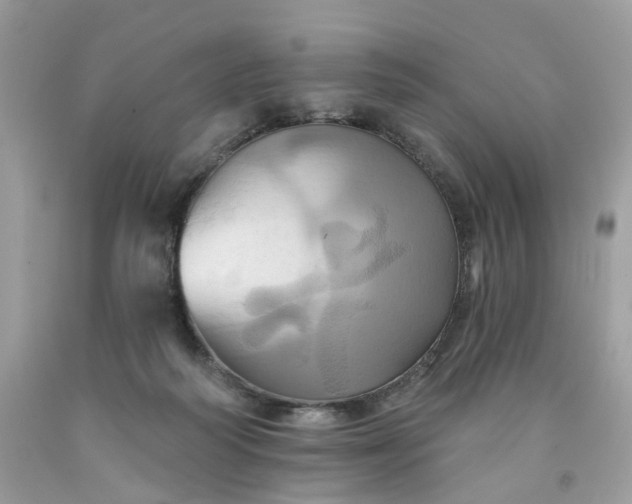 X0000091580218200709051107