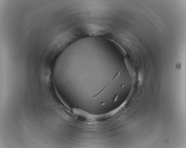 X0000091580219200709051107