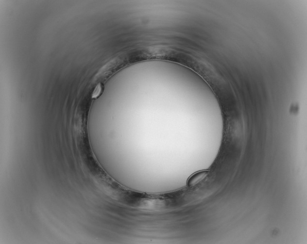 X0000091580220200709051107