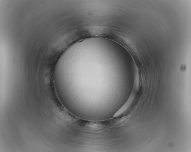 X0000091580221200709051107