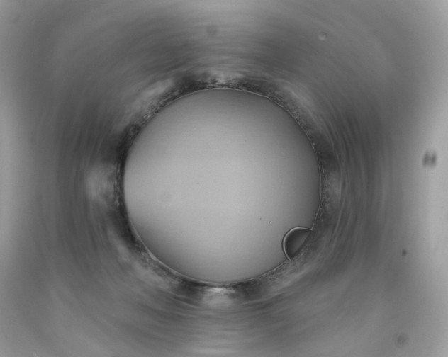 X0000091580222200709051107