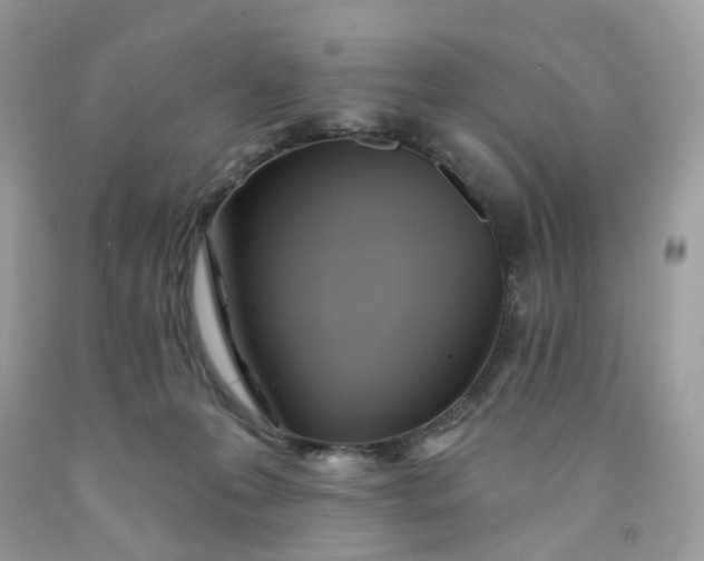 X0000091580223200709051107