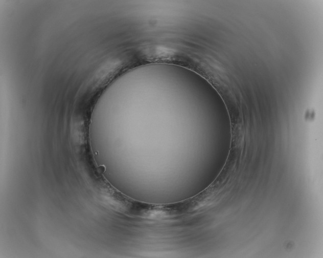 X0000091580224200709051107