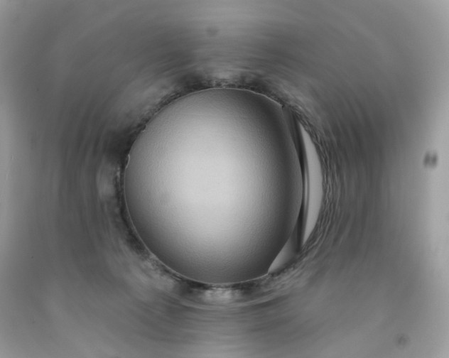 X0000091580225200709051107