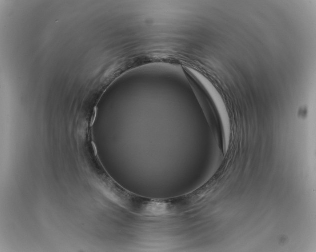 X0000091580227200709051107