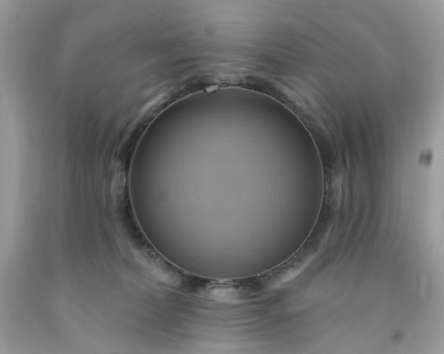 X0000091580228200709051107