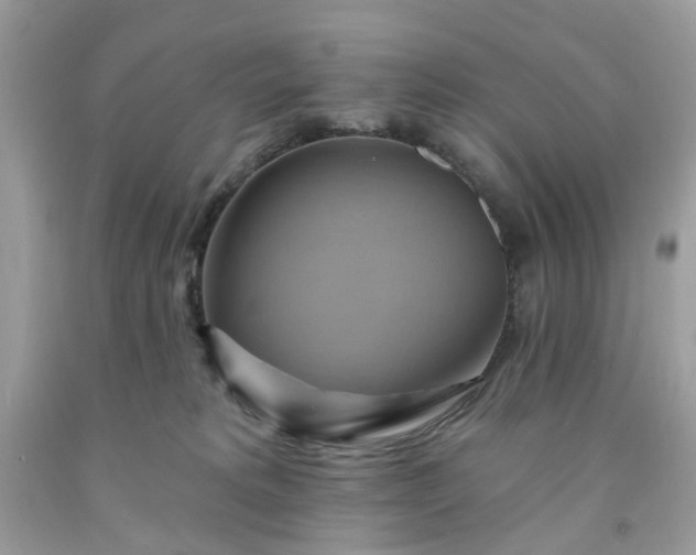 X0000091580229200709051107