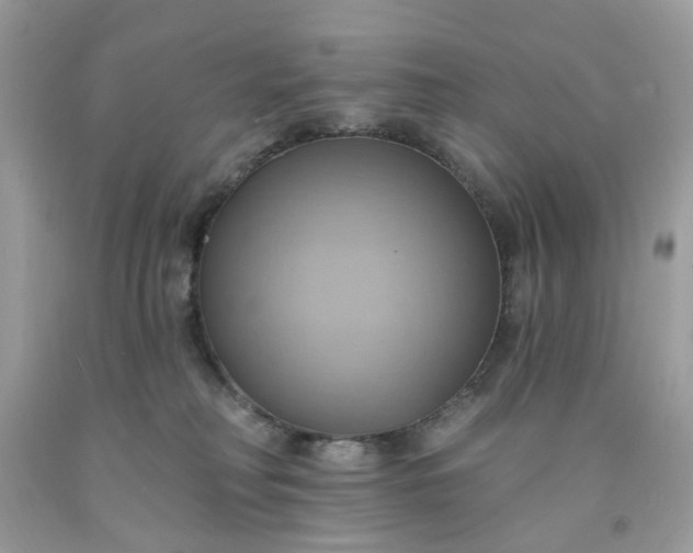 X0000091580230200709051107