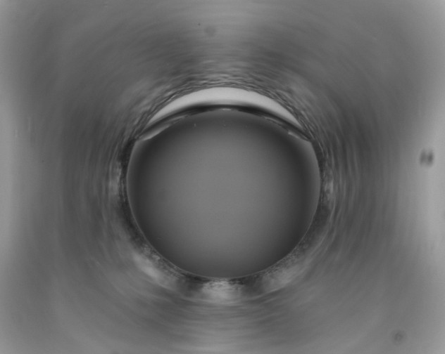 X0000091580231200709051107