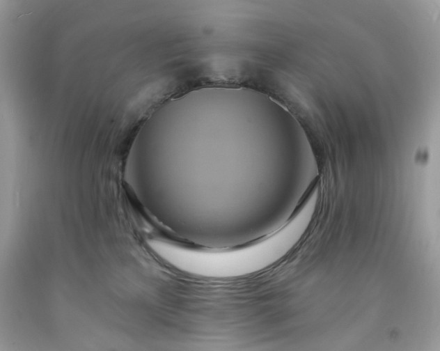 X0000091580233200709051107