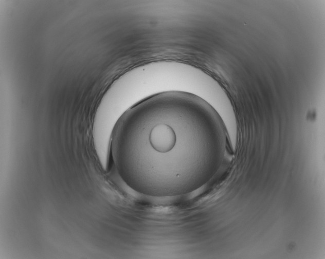 X0000091580237200709051107