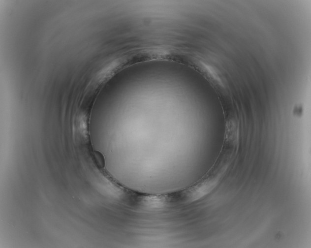 X0000091580238200709051107