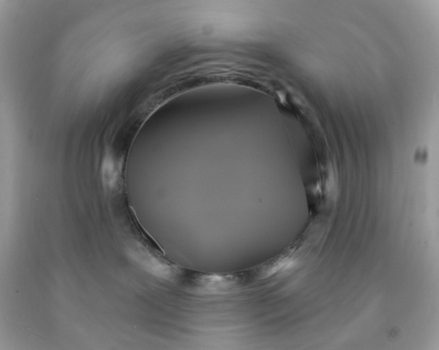 X0000091580239200709051107