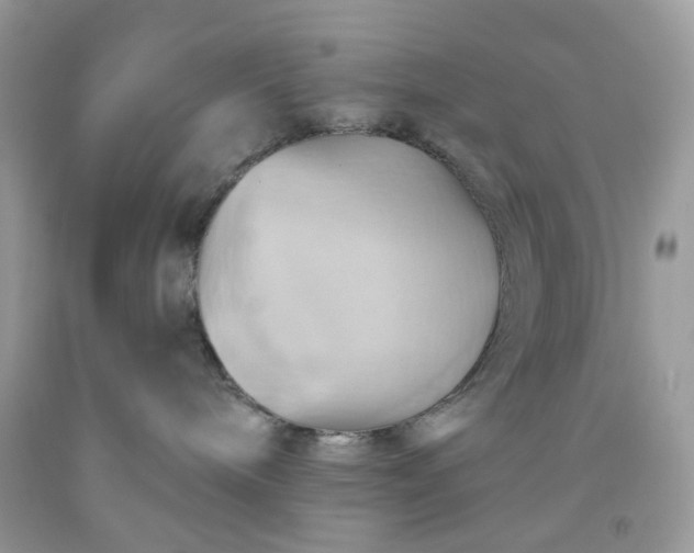 X0000091580240200709051107