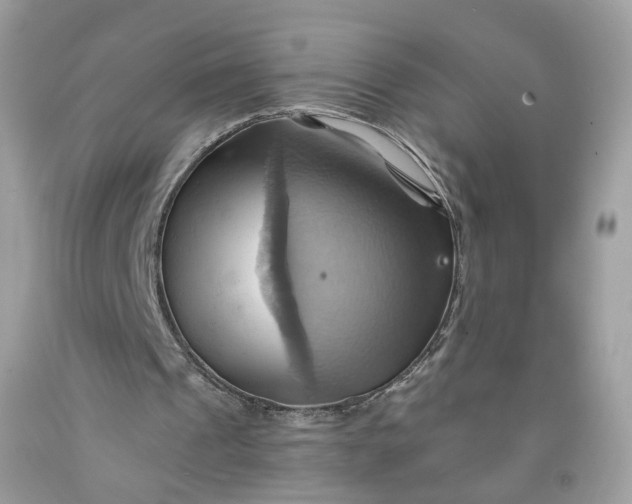 X0000091580241200709051106