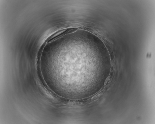 X0000091580242200709051106