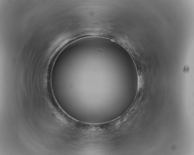 X0000091580243200709051106