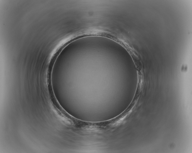 X0000091580244200709051106