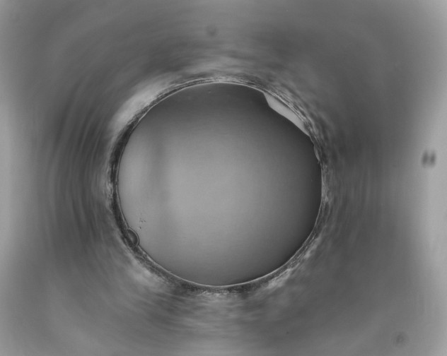 X0000091580245200709051106