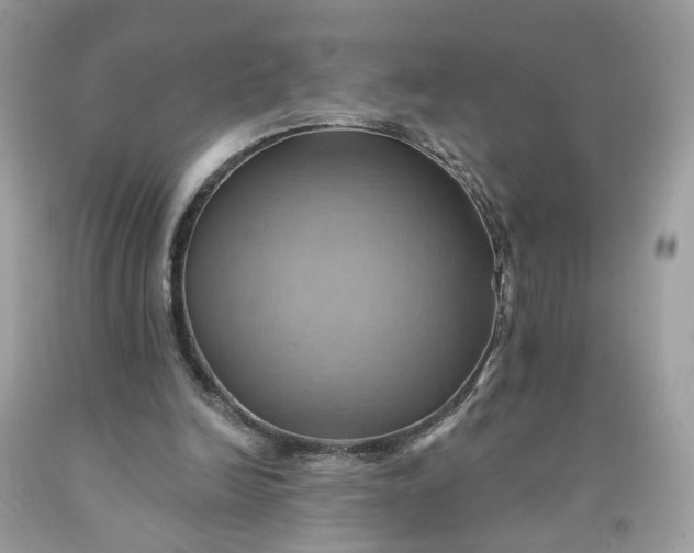 X0000091580246200709051106