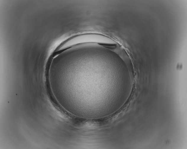 X0000091580248200709051106