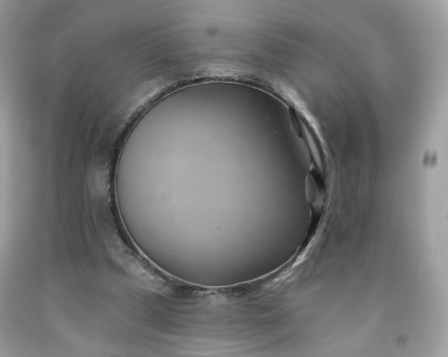 X0000091580249200709051106