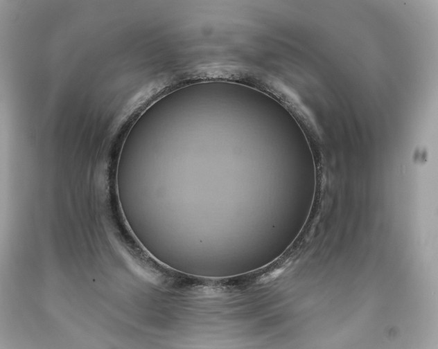 X0000091580250200709051106