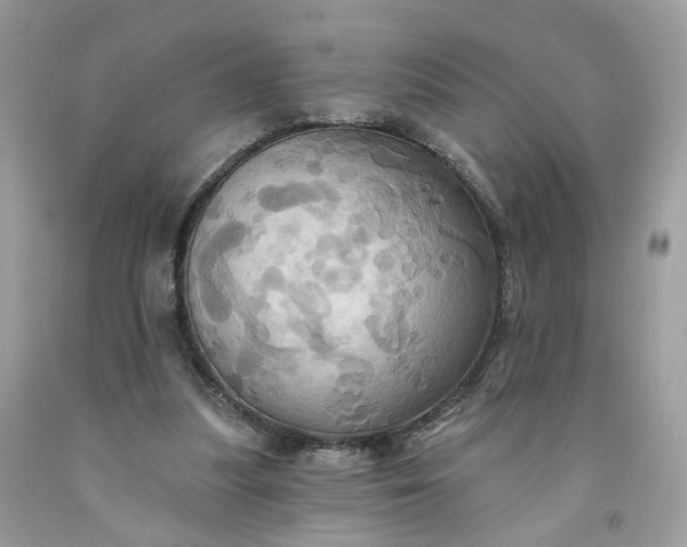 X0000091580251200709051106