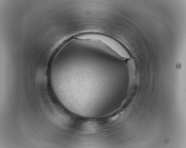 X0000091580252200709051106